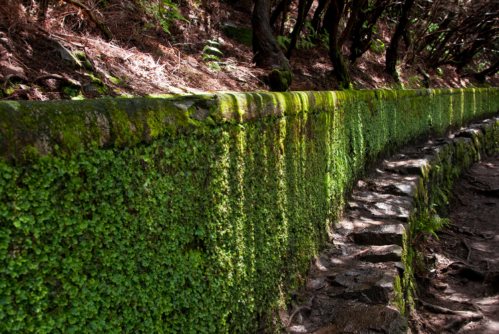 431_Madera_Levada das 25 Fontes.jpg